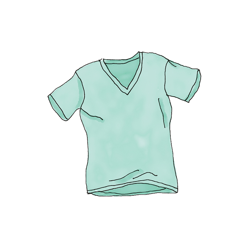 WordPress Pennant