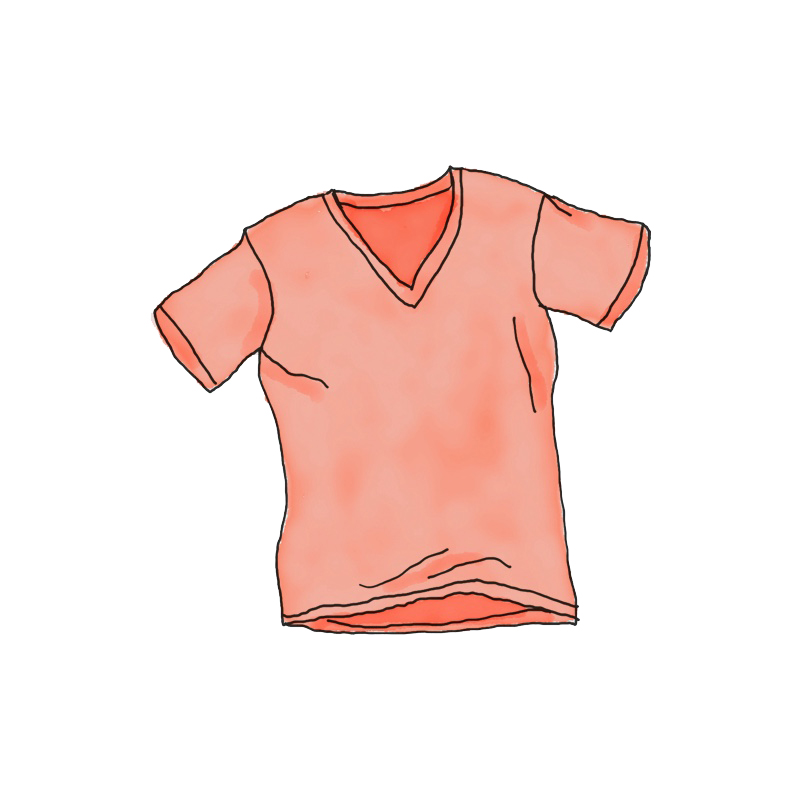 WordPress Pennant - Imagen 2