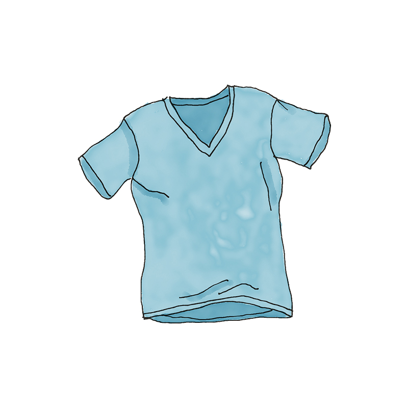 WordPress Pennant - Imagen 3